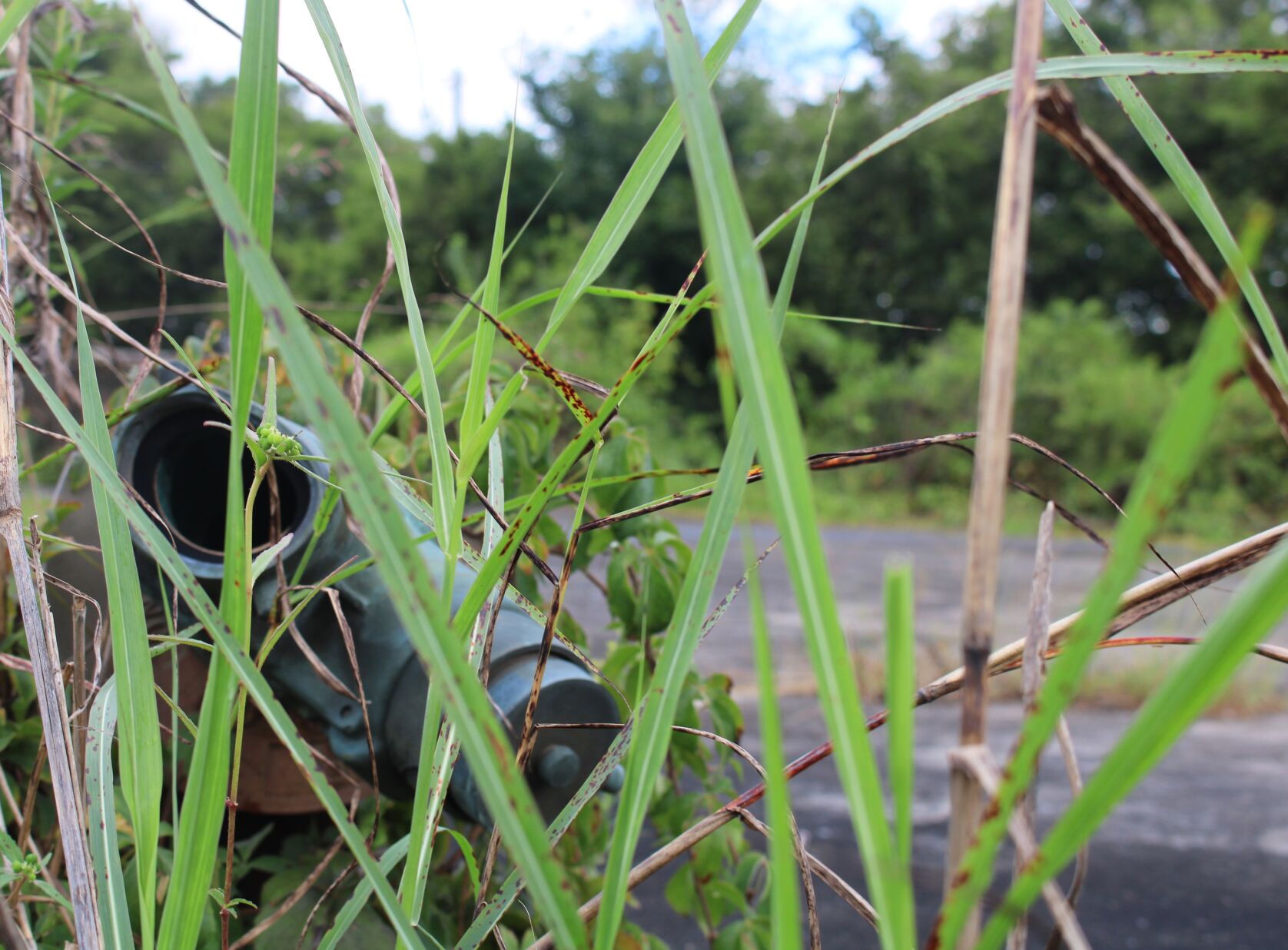 Development authority looking to potentially identify, improve brownfield sites in Rome and Floyd County
